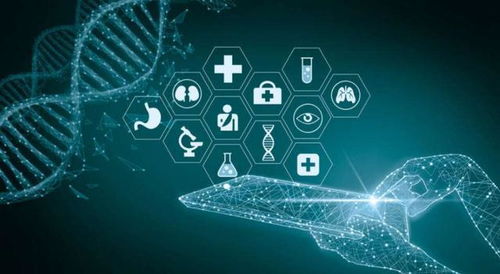 2022年醫(yī)藥行業(yè) 一曲冰與火之歌