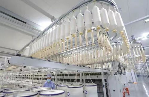 魏橋退市折射行業陣痛 中國紡織業的轉型十字路口